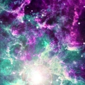 Meet your Posher, Raeleigh